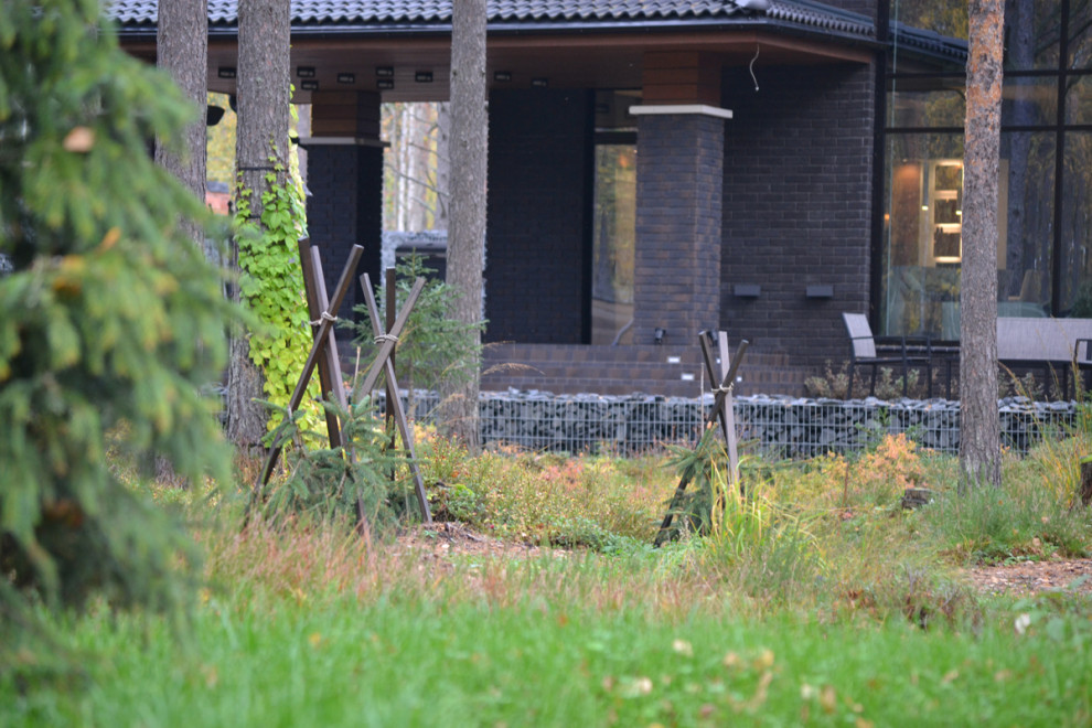 Обложка проекта: Райт и Ленинградский лес