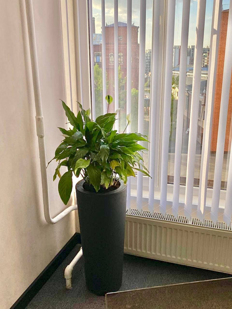 Офис Файн Юнион г. Санкт-Петербург