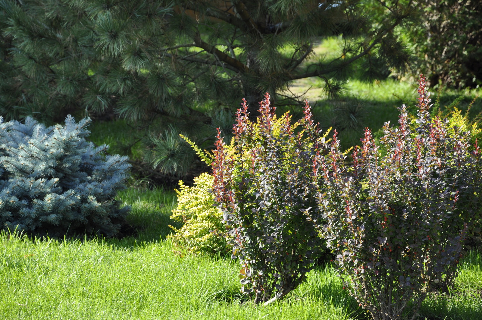 кп "Бенелюкс" - Уход за садом - 100% качество