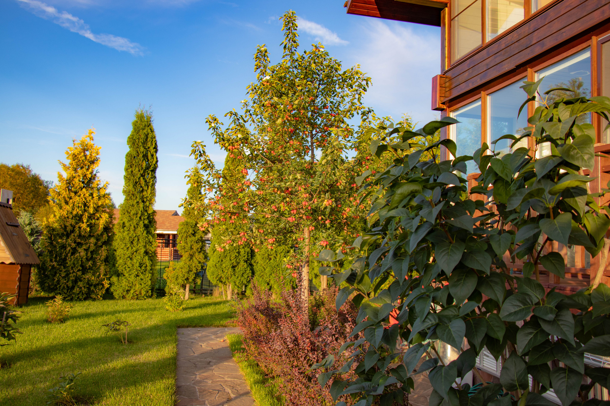 Сосновые берега