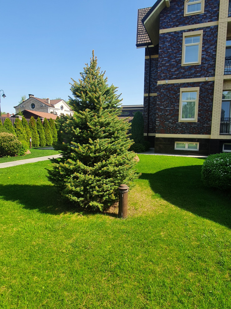 Летова роща