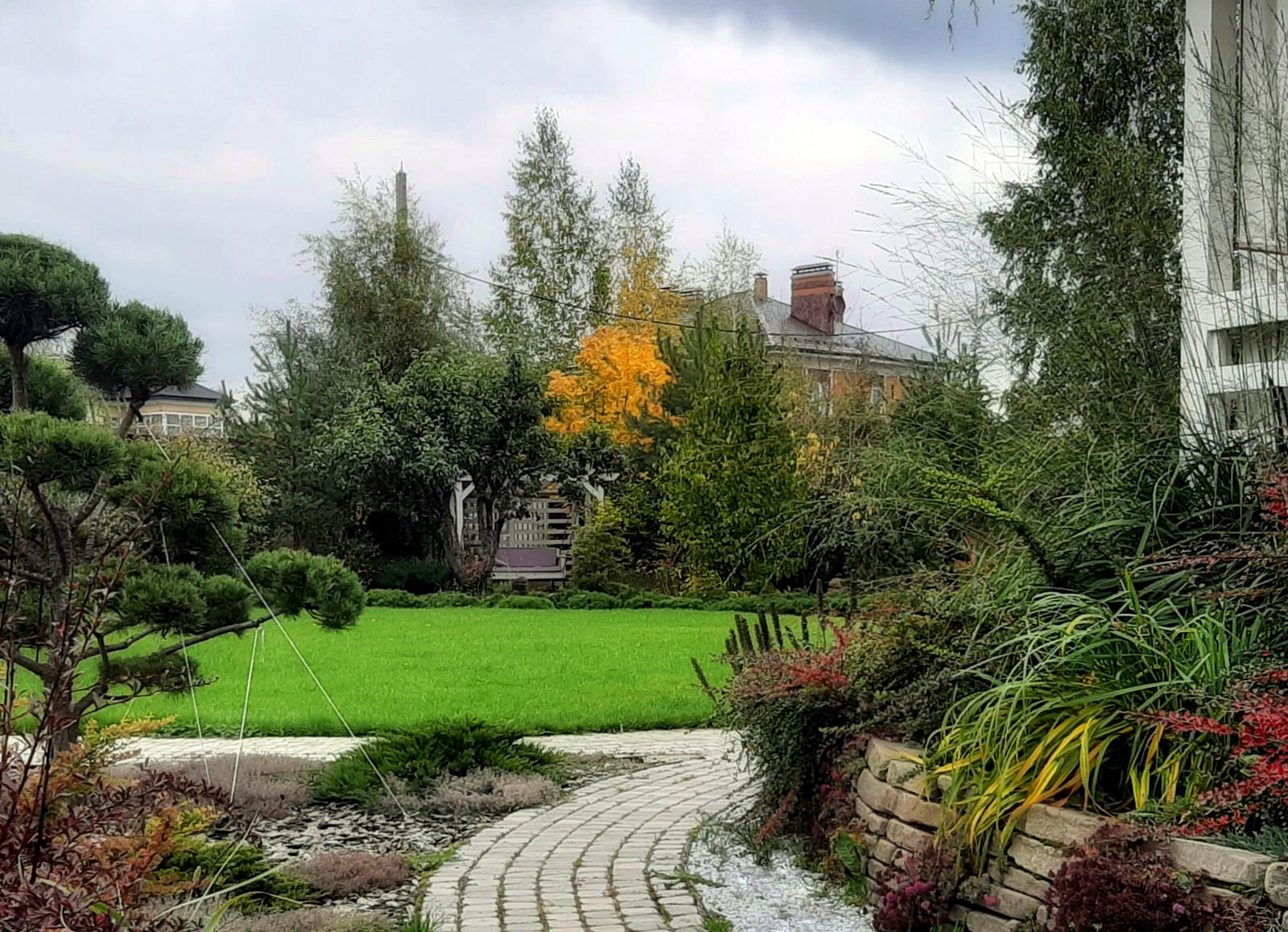 Обложка проекта: Сад на краю деревни.