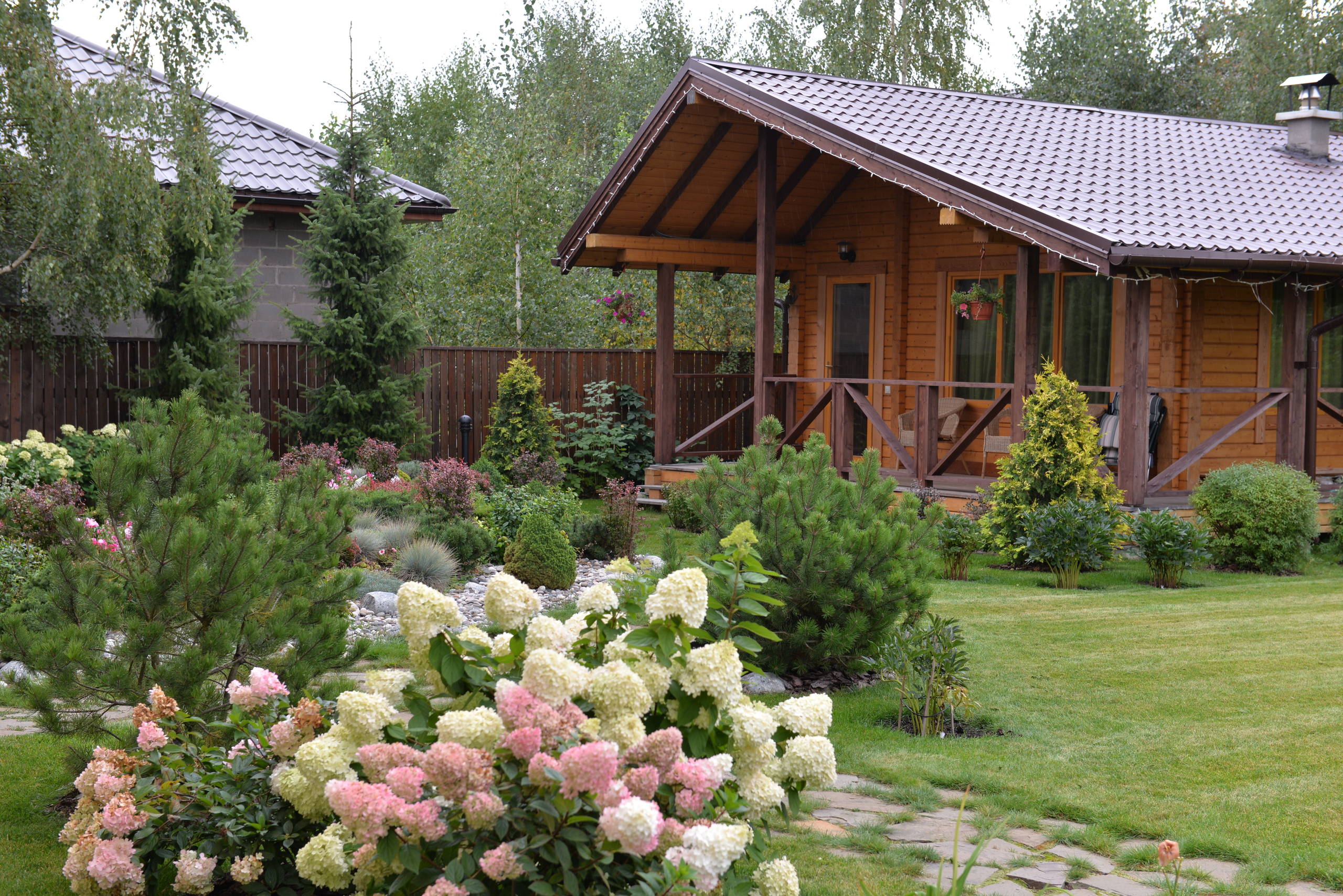 Вопрос: Как правильно выращивать гортензию