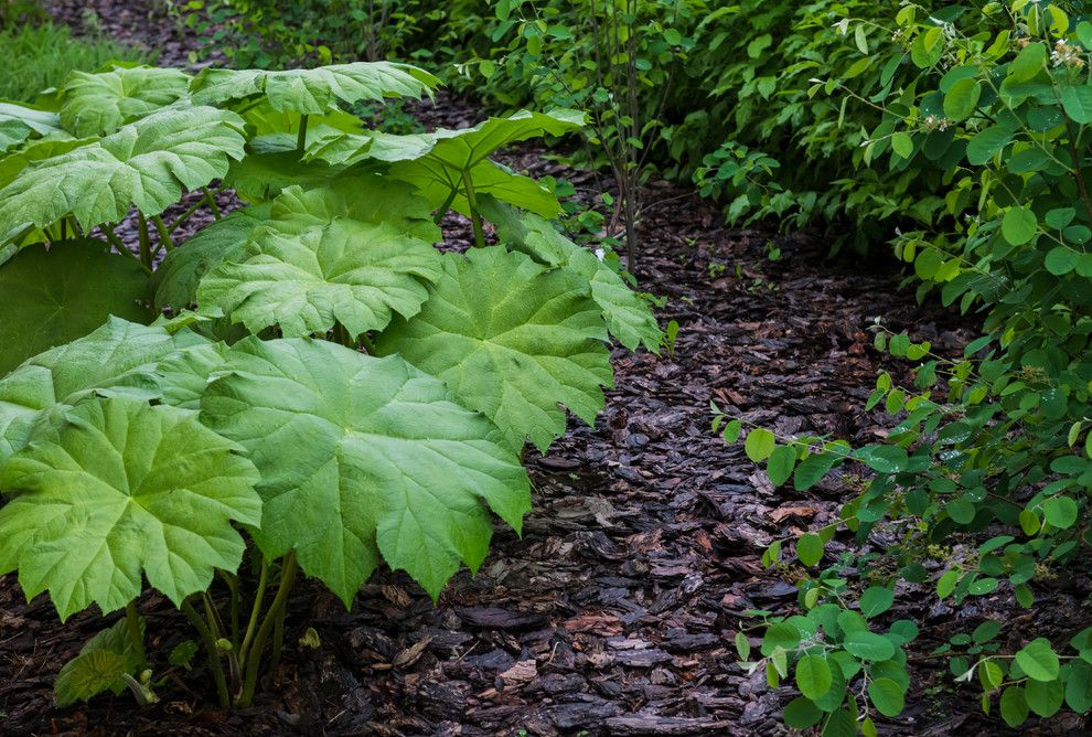 Обложка альбома: Идеи пользователя Алексей