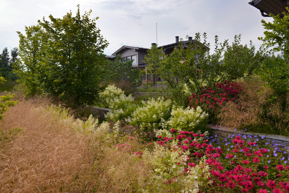 Злаковый сад