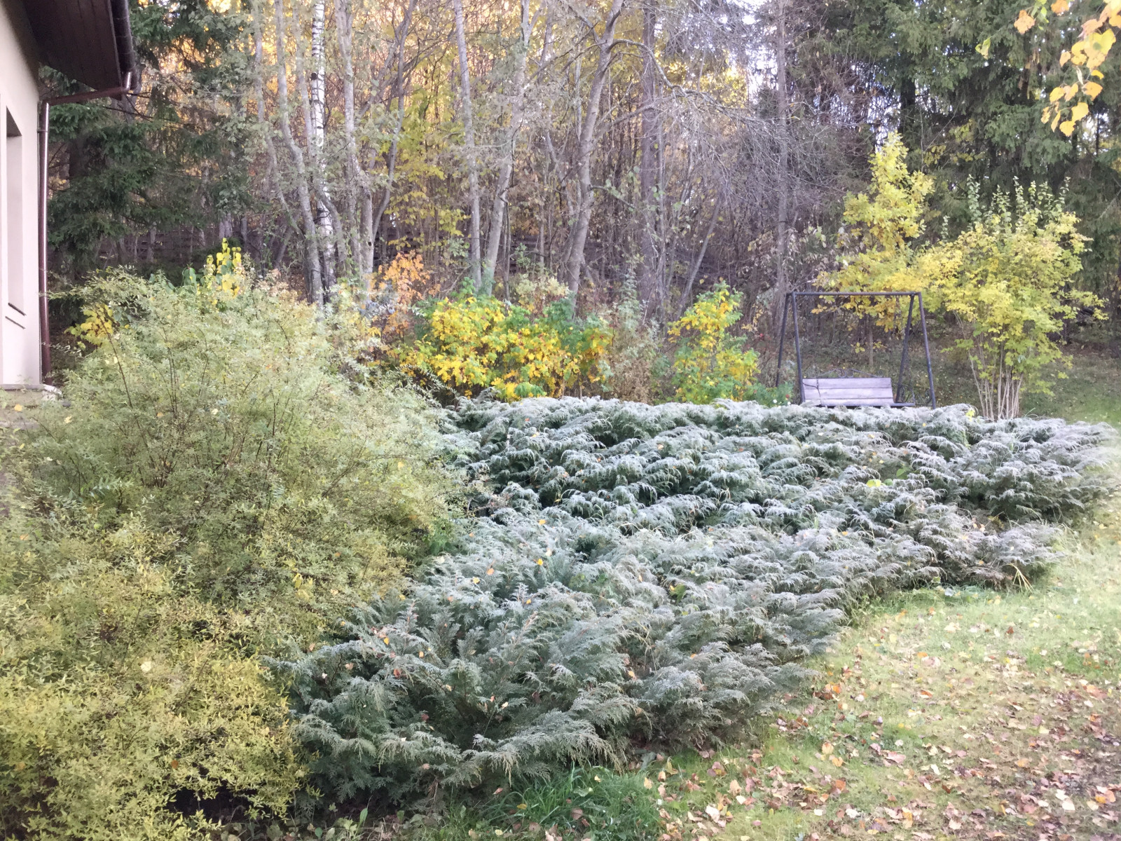 Обложка проекта: Мансурово.