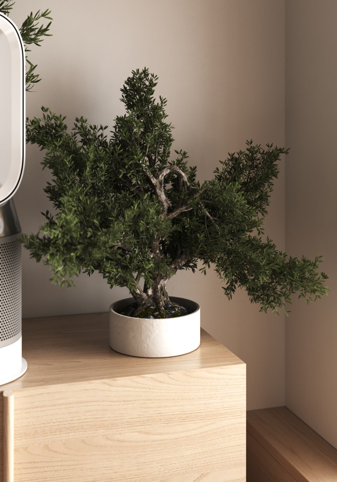 Сигнальный S63