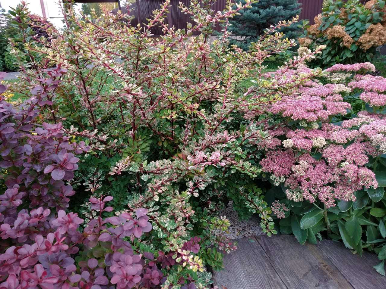 Внутренний дворик таунхауса