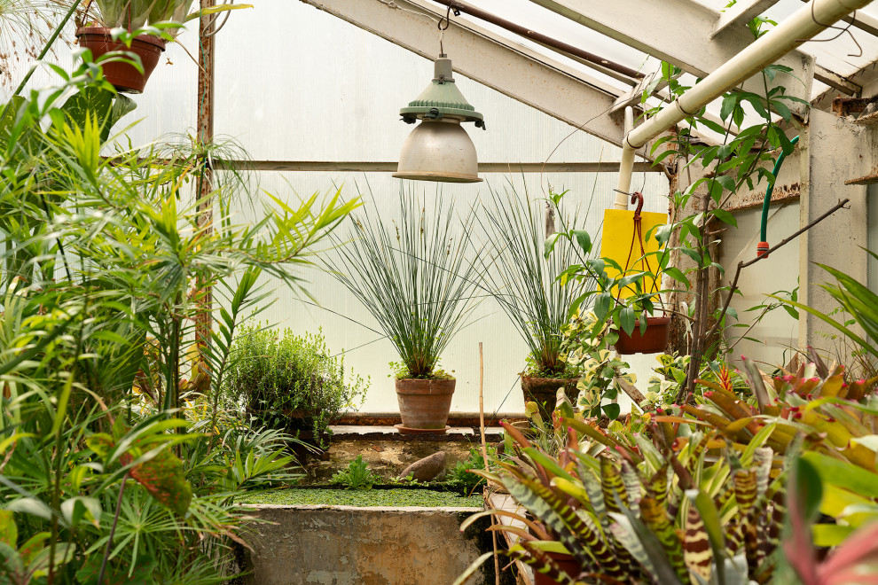 Ботанический сад в сердце Петербурга