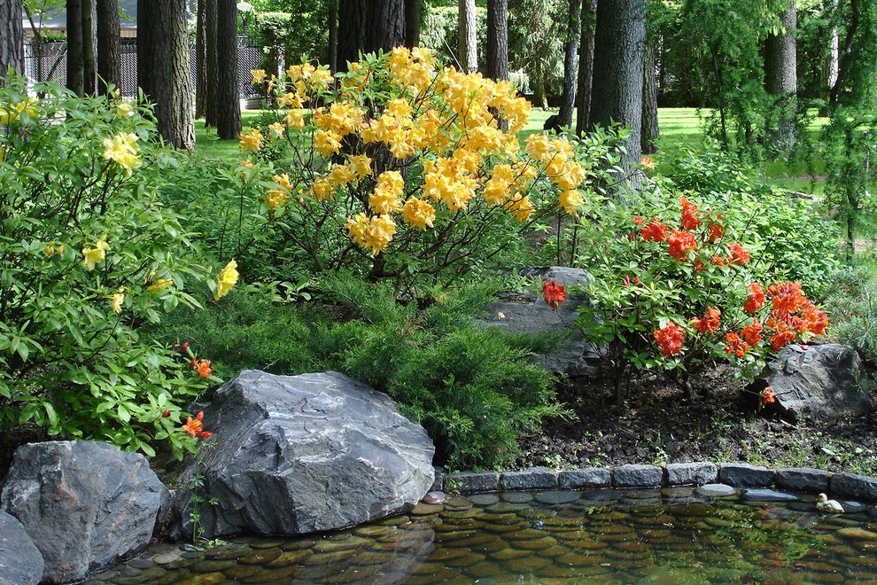 Сад с водоемом в КП " Сосновый Бор"