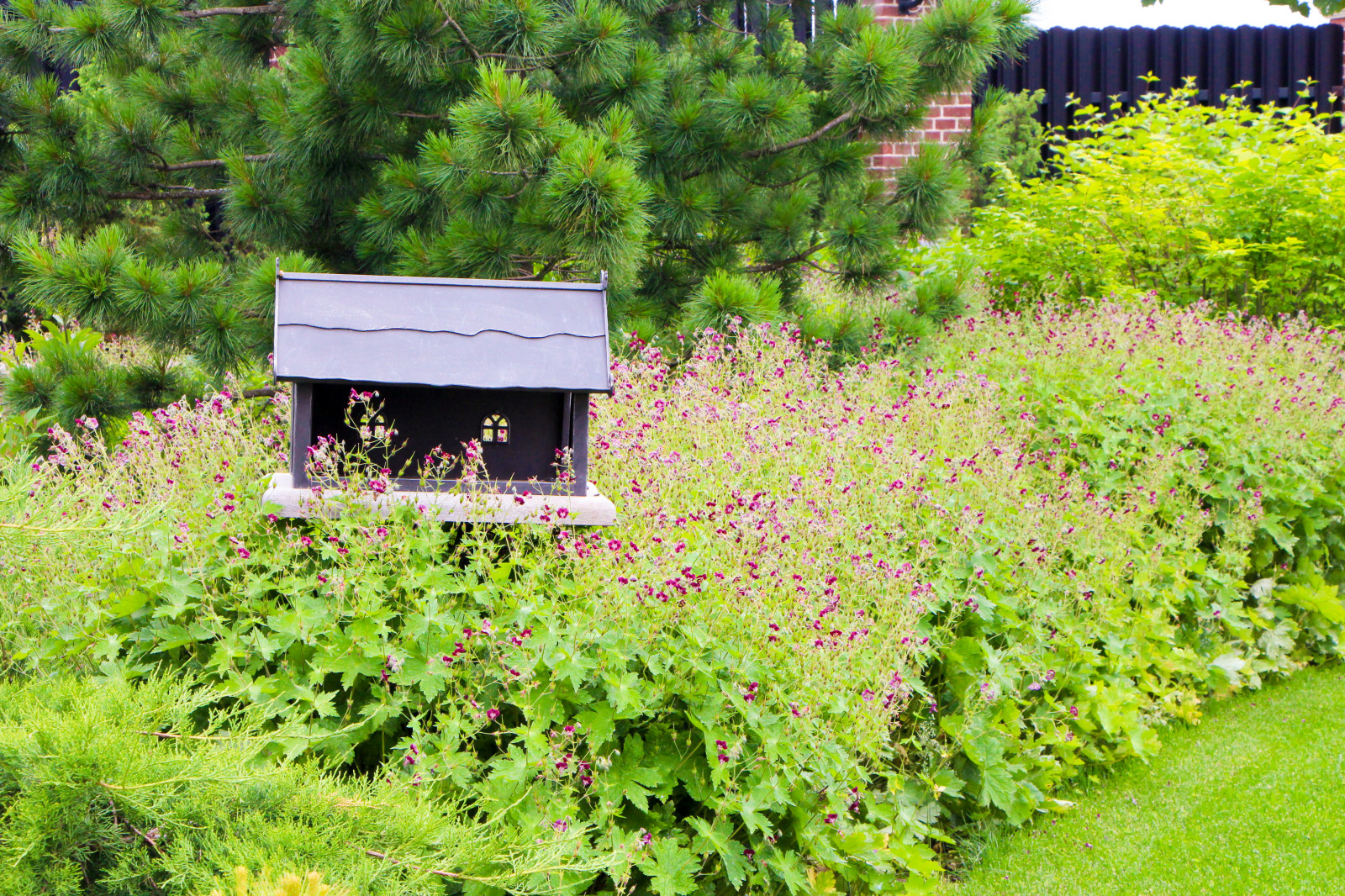 Горки-10, 2017-2020 г.г.