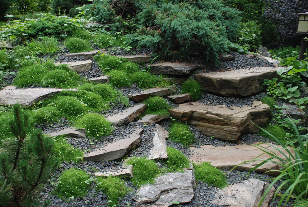 Успенское шоссе РИИТА