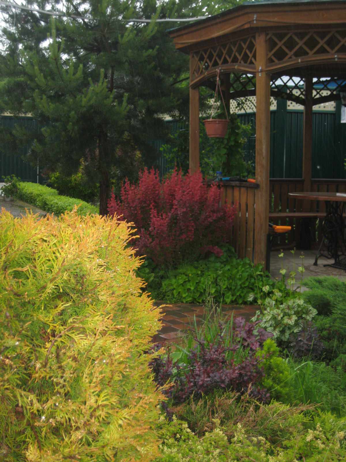 Хвойная идиллия