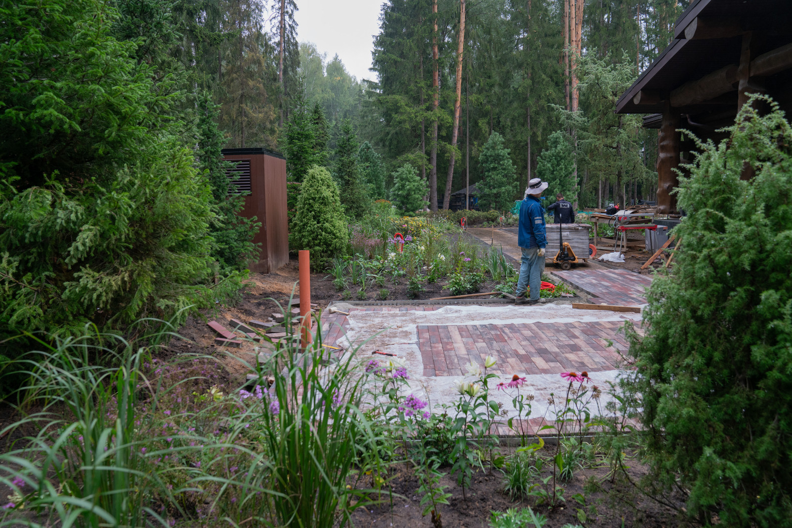 Лесные Зори. 1 Га. 2023 г.