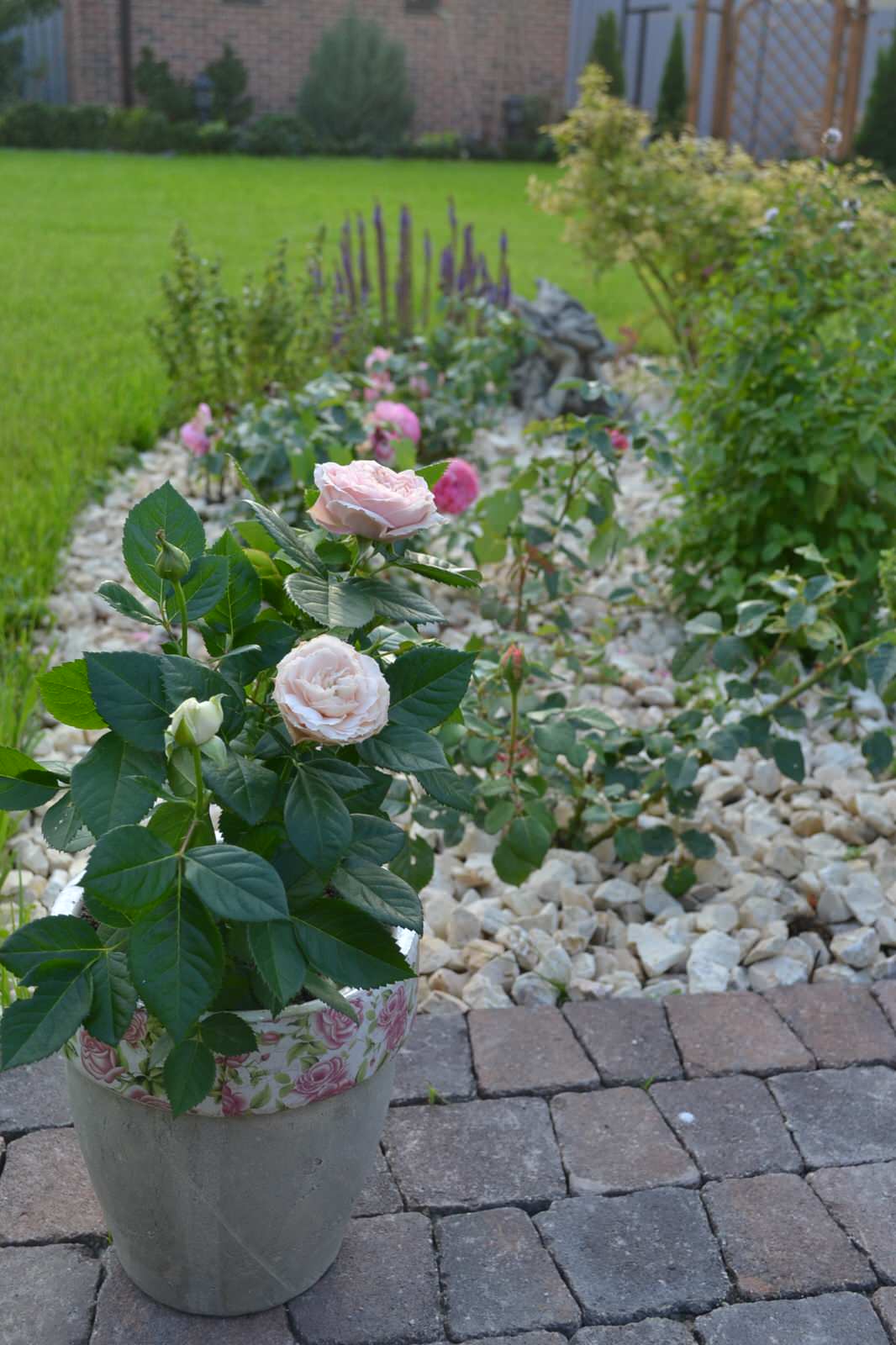 Семейный сад