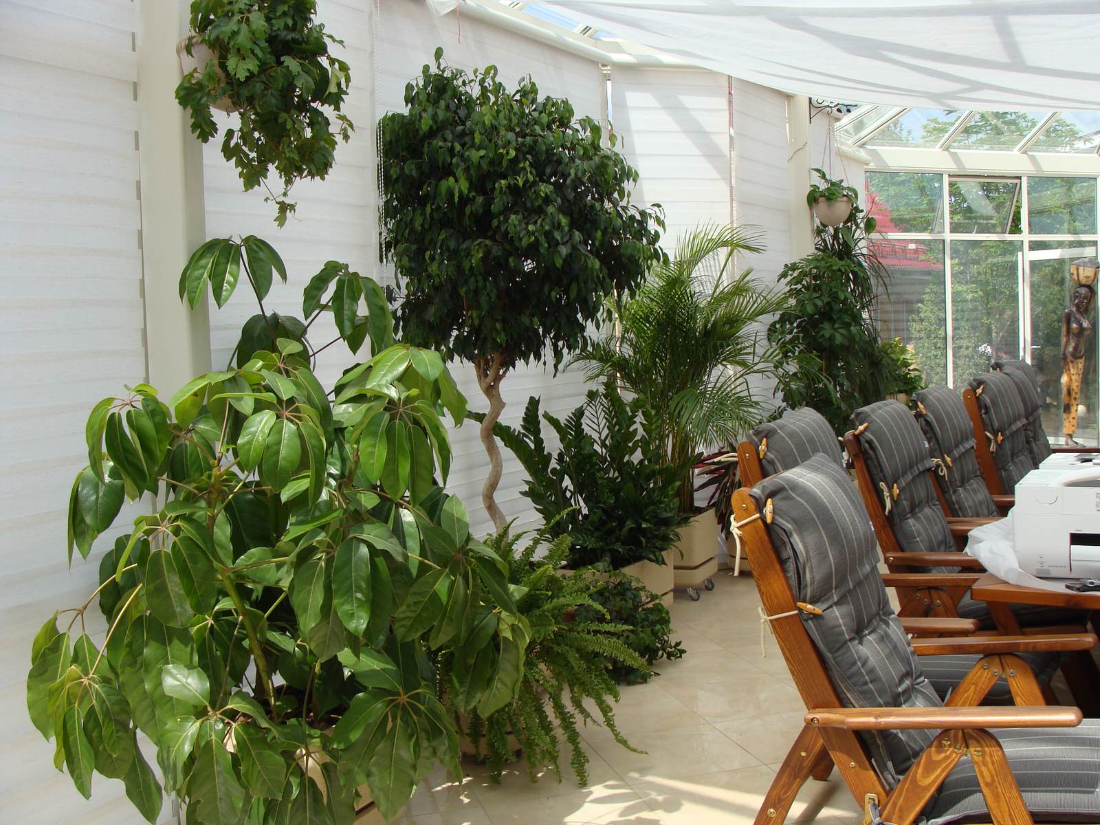 Зимние сады