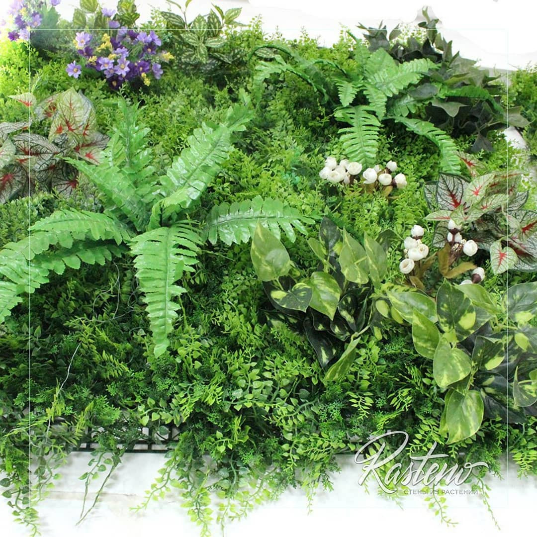 Обложка проекта: Искусственные растения и силиконовые имитации растений