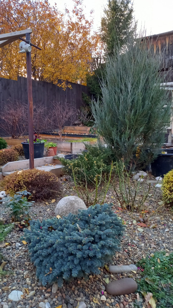 Сад для ландшафтного дизайнера.