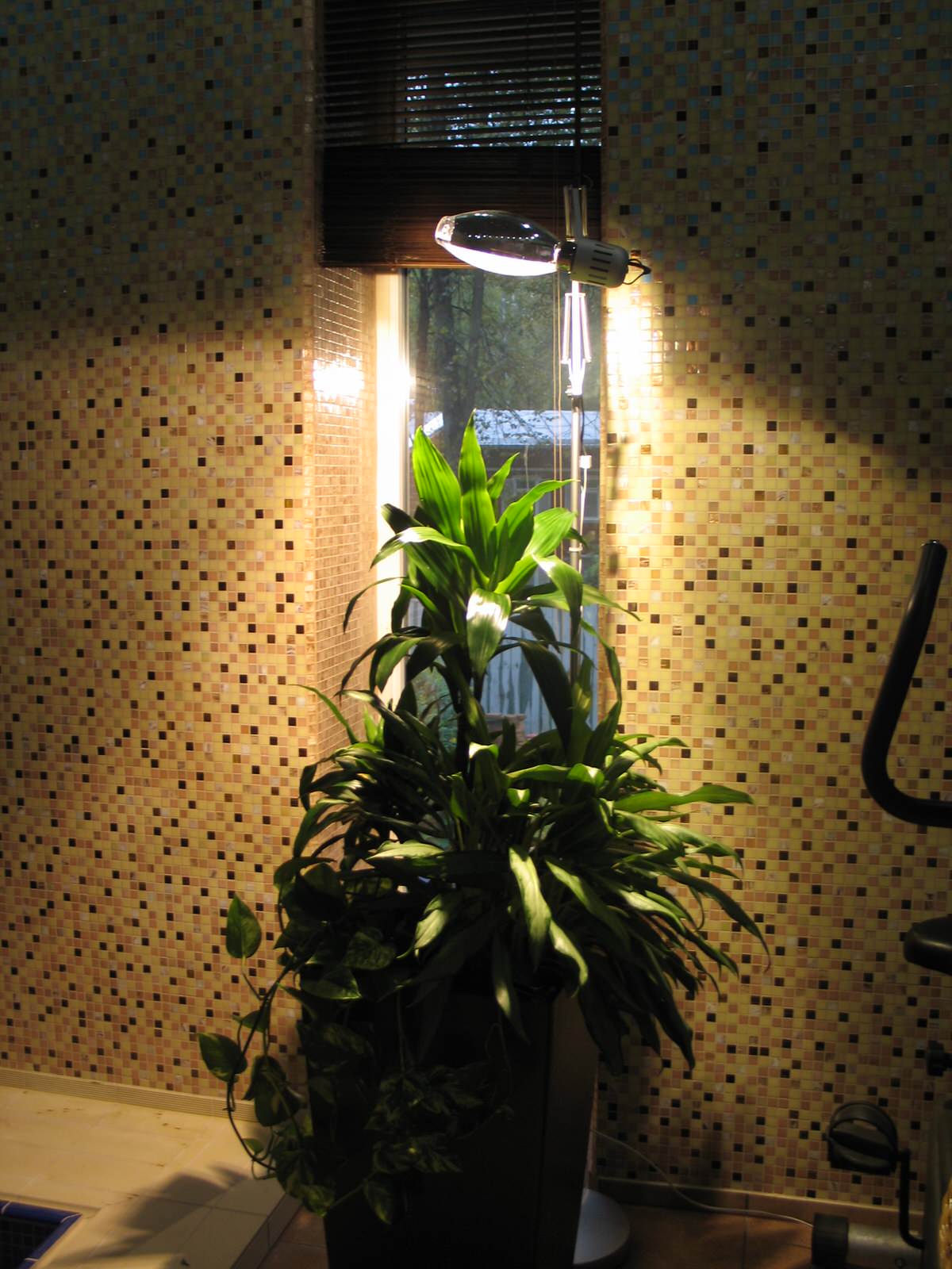 Обложка проекта: Фитосвет