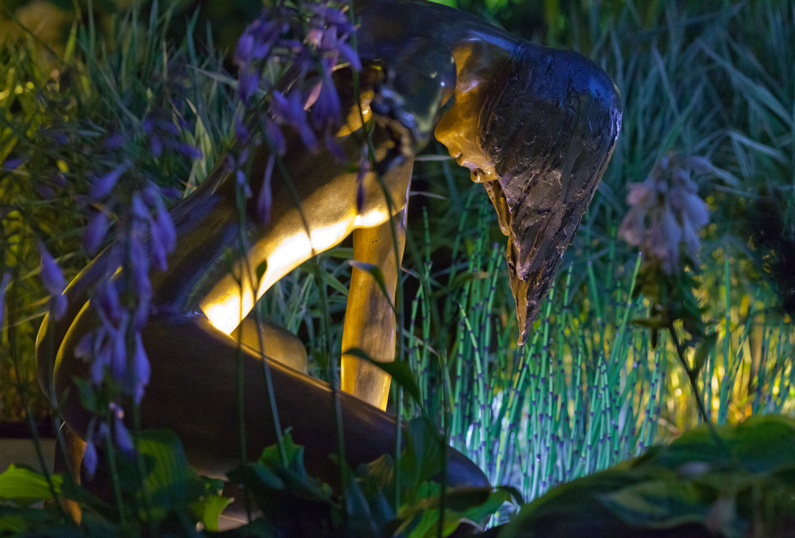 Обложка проекта: Выставочный сад "Тайны соблазна"