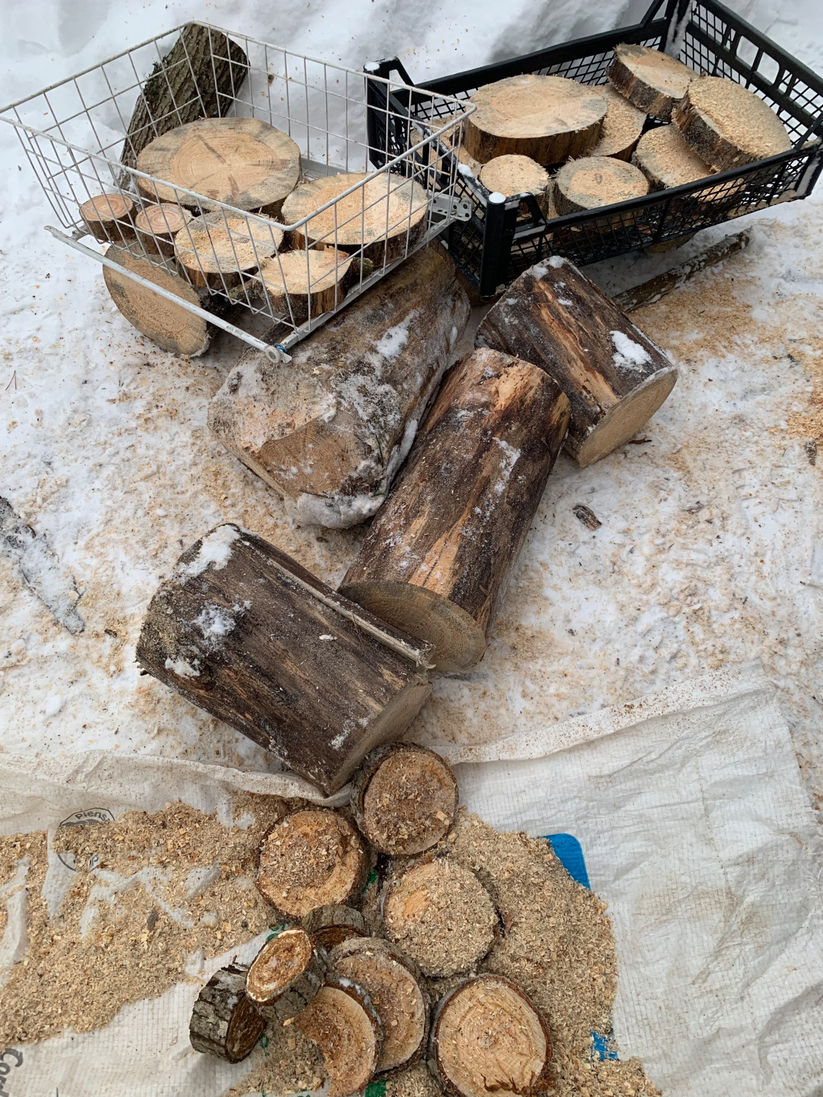 Дорожки садовые из спилов дерева (материалы для монтажа)