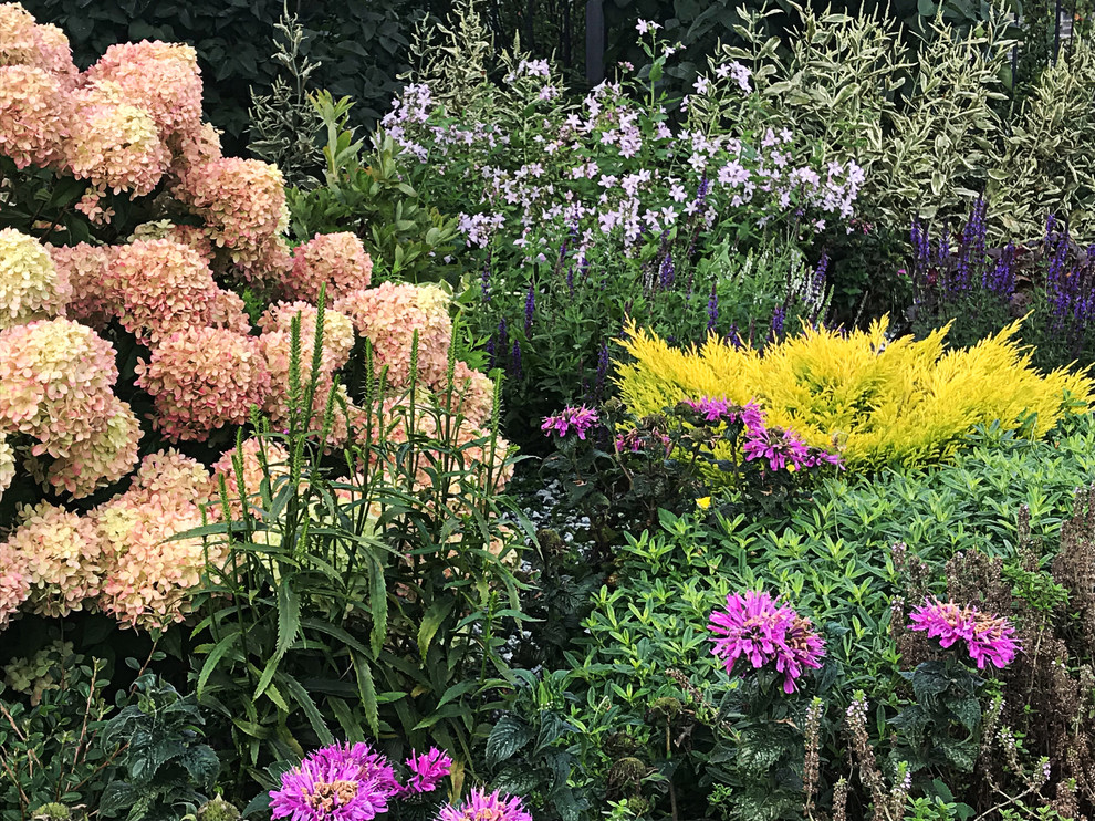 Легкий фьюжн 0.25 га