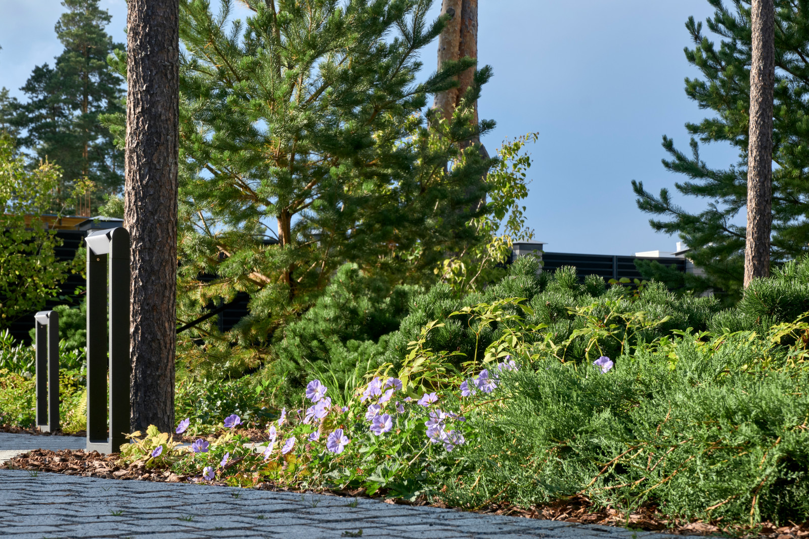 Репино парк