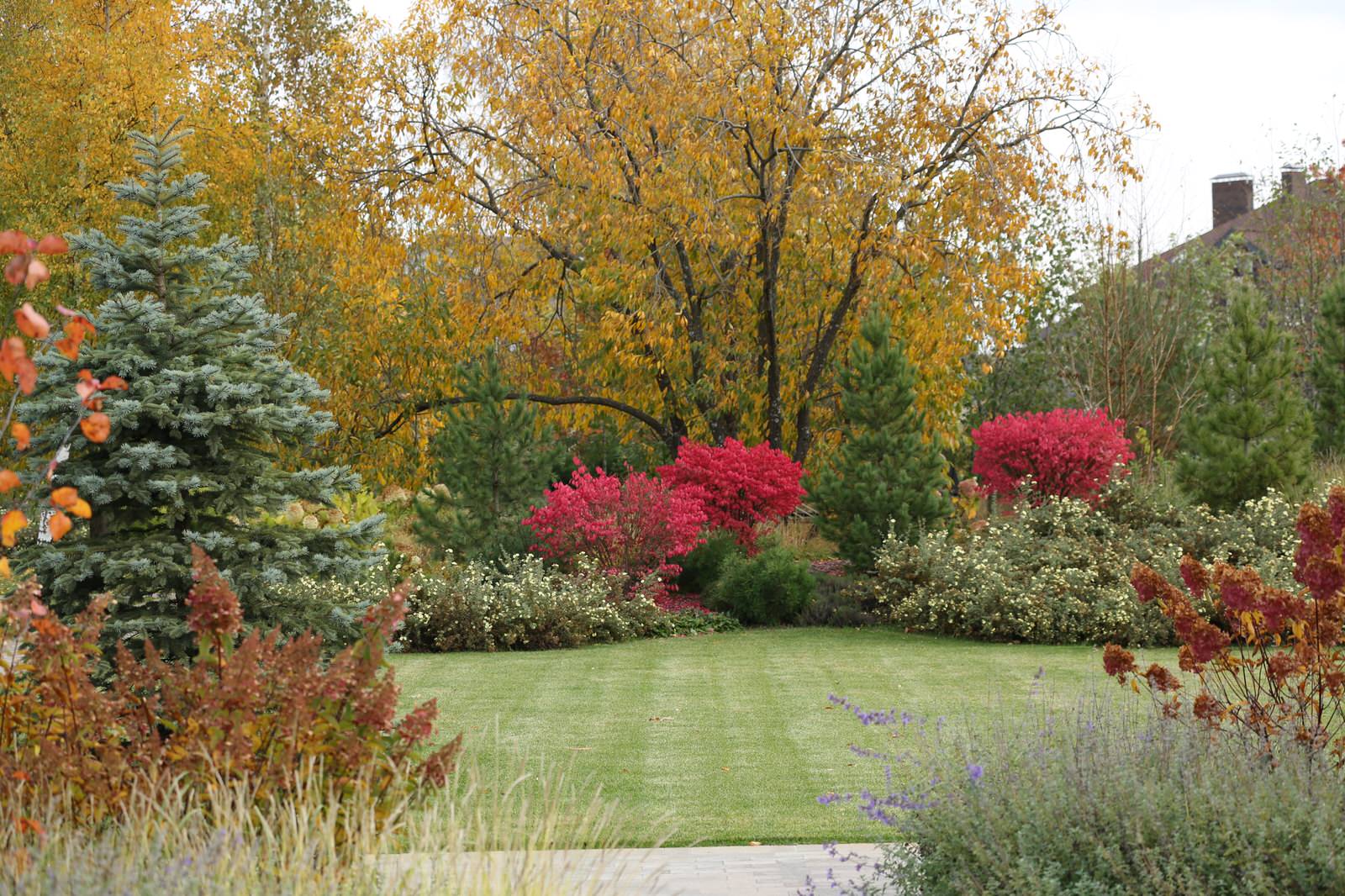 "Новорижский парк"