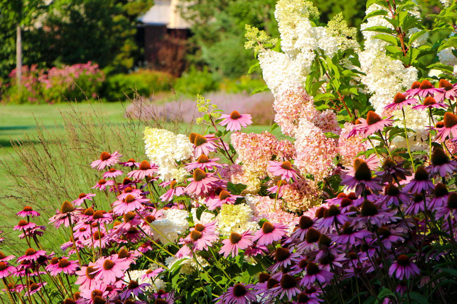 Горки-10, 2017-2020 г.г.