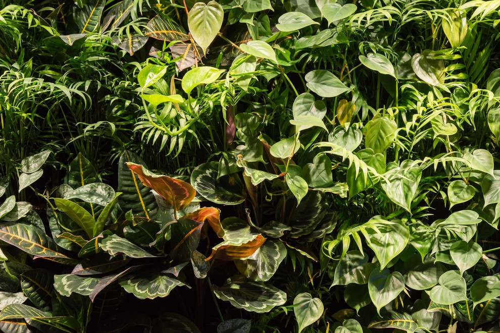 Частный 3-х этажный дом