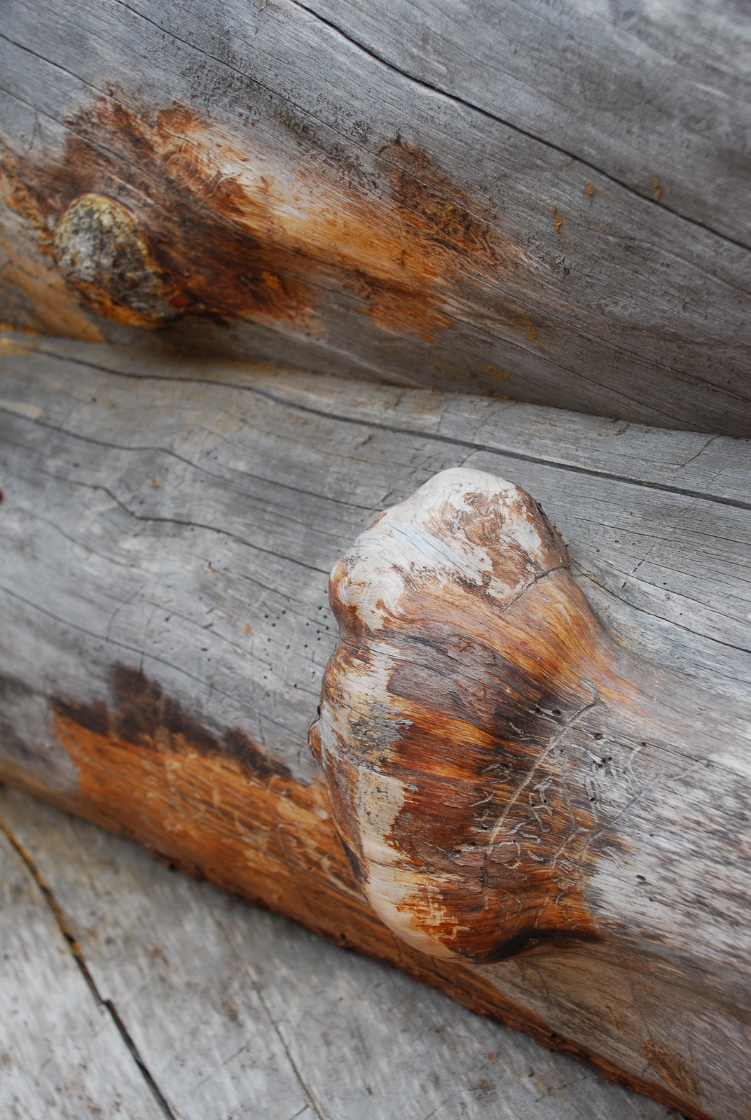 Производство и заготовка