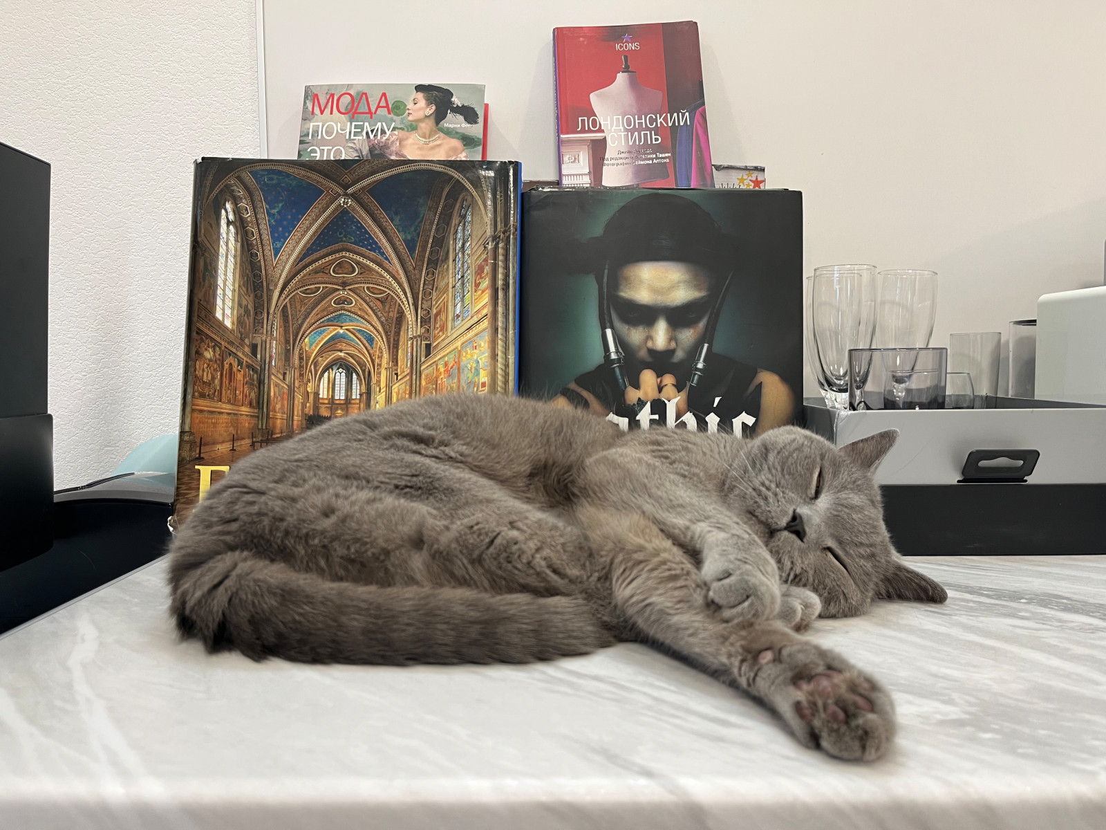 И вся Москва как на ладони