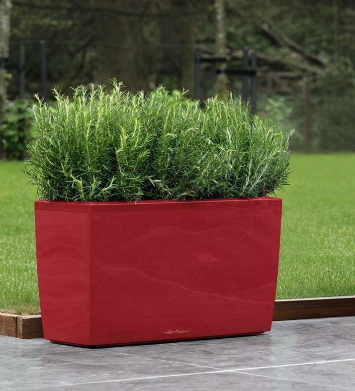 На вершине моды!