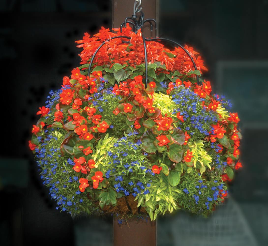 Сад в контейнере: 11 эффектных композиций для вашего балкона