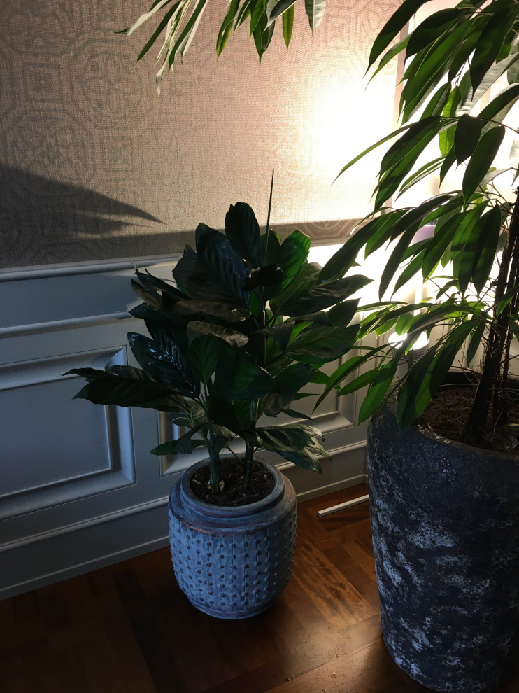 частные аппартаменты