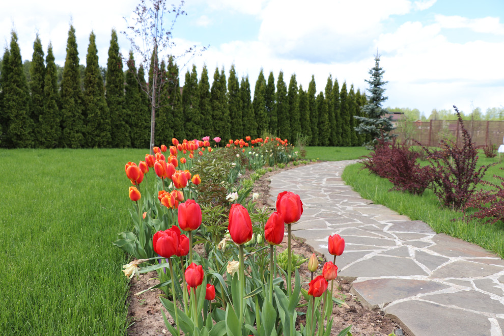 Весна 2020 Сосновые берега