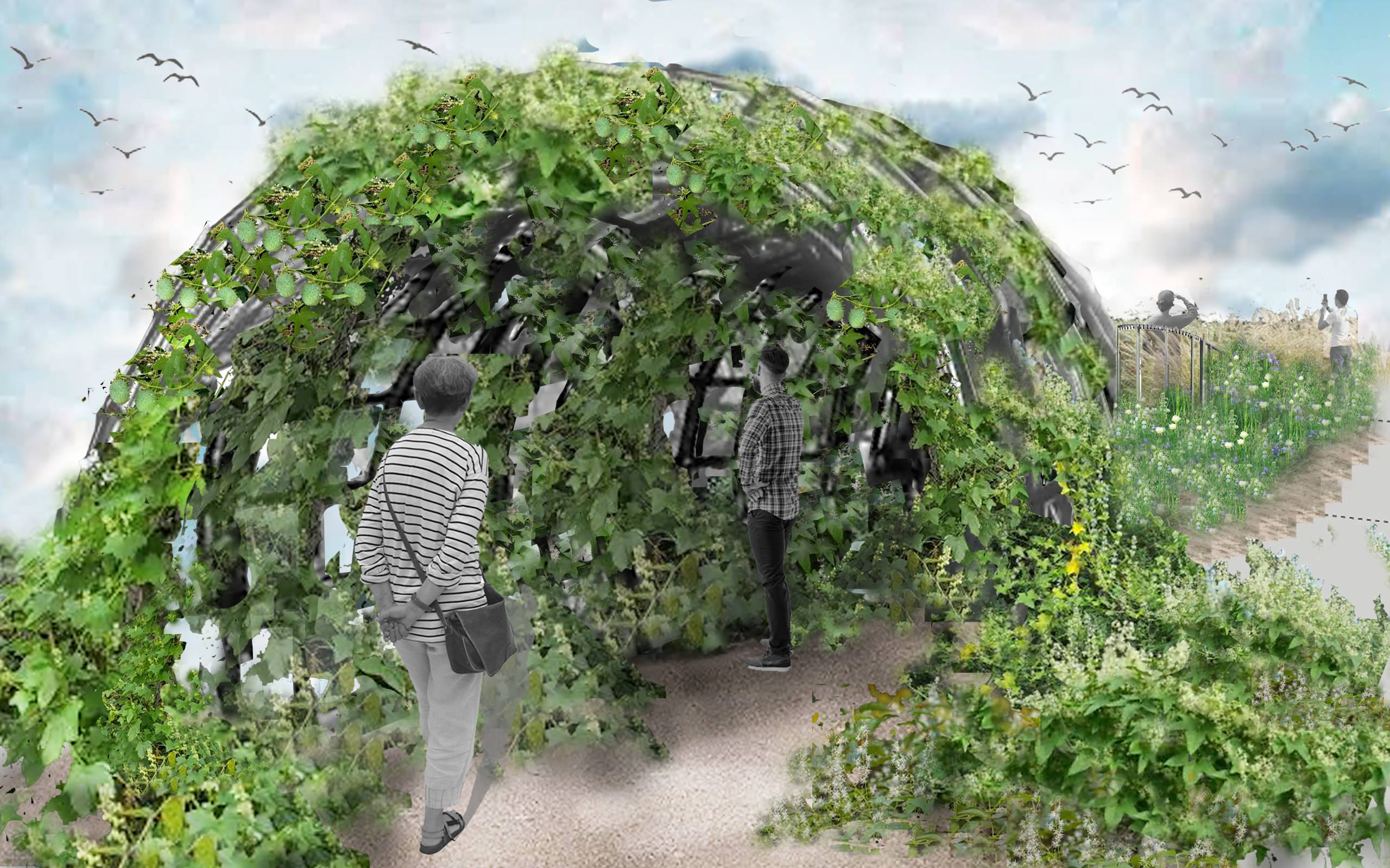 Выставка садов Moscow Flower Show — виртуальная в 2020-м