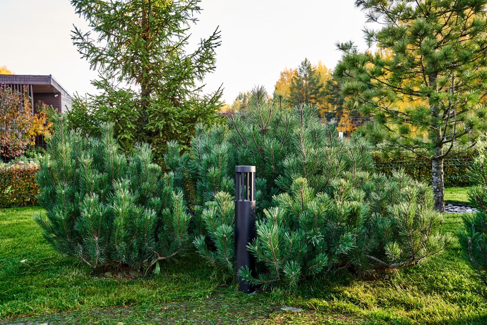 Участок с мужским характером