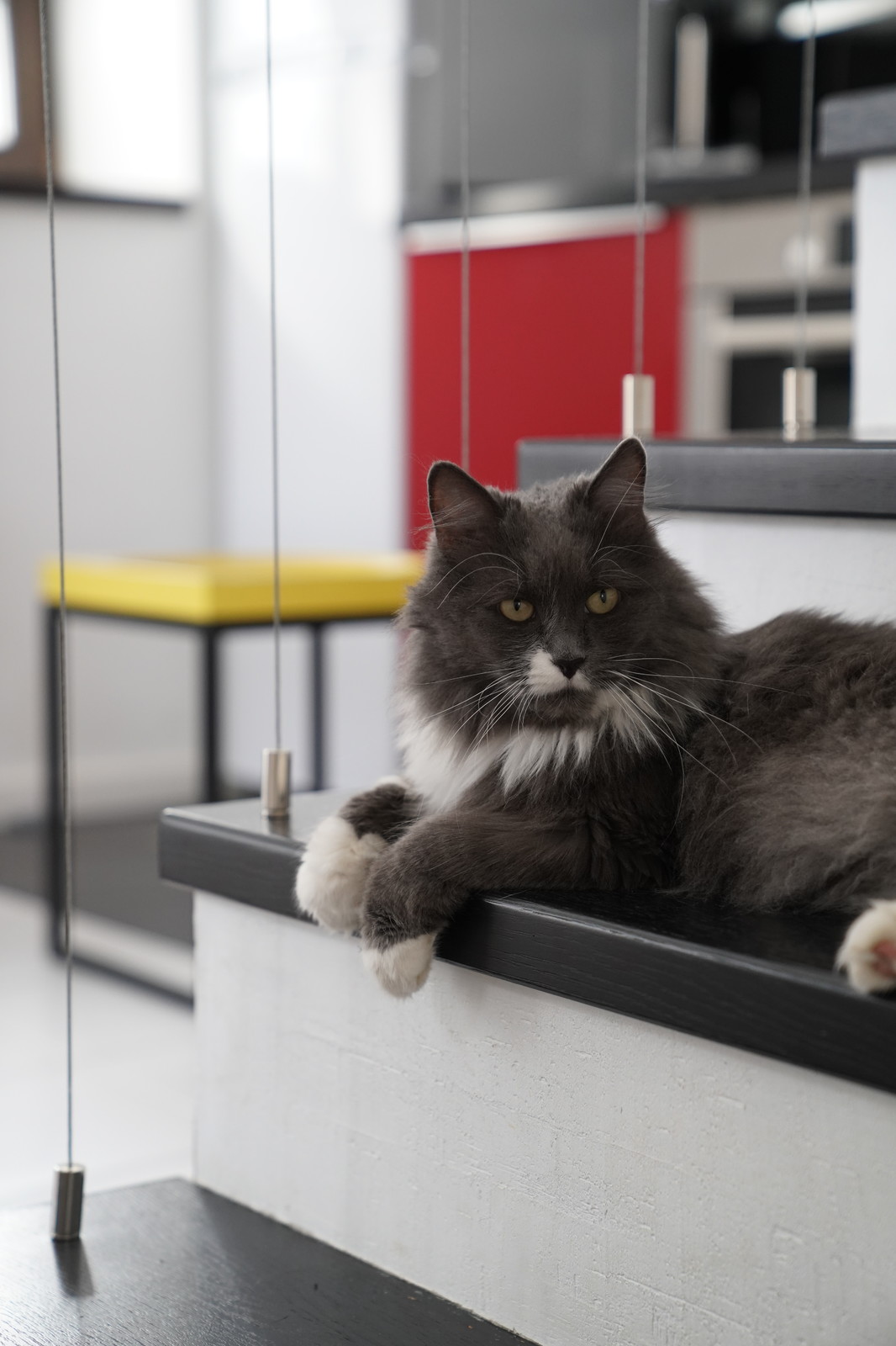 Houzz тур: Очень быстрый (и бюджетный) гостевой дом в Подмосковье