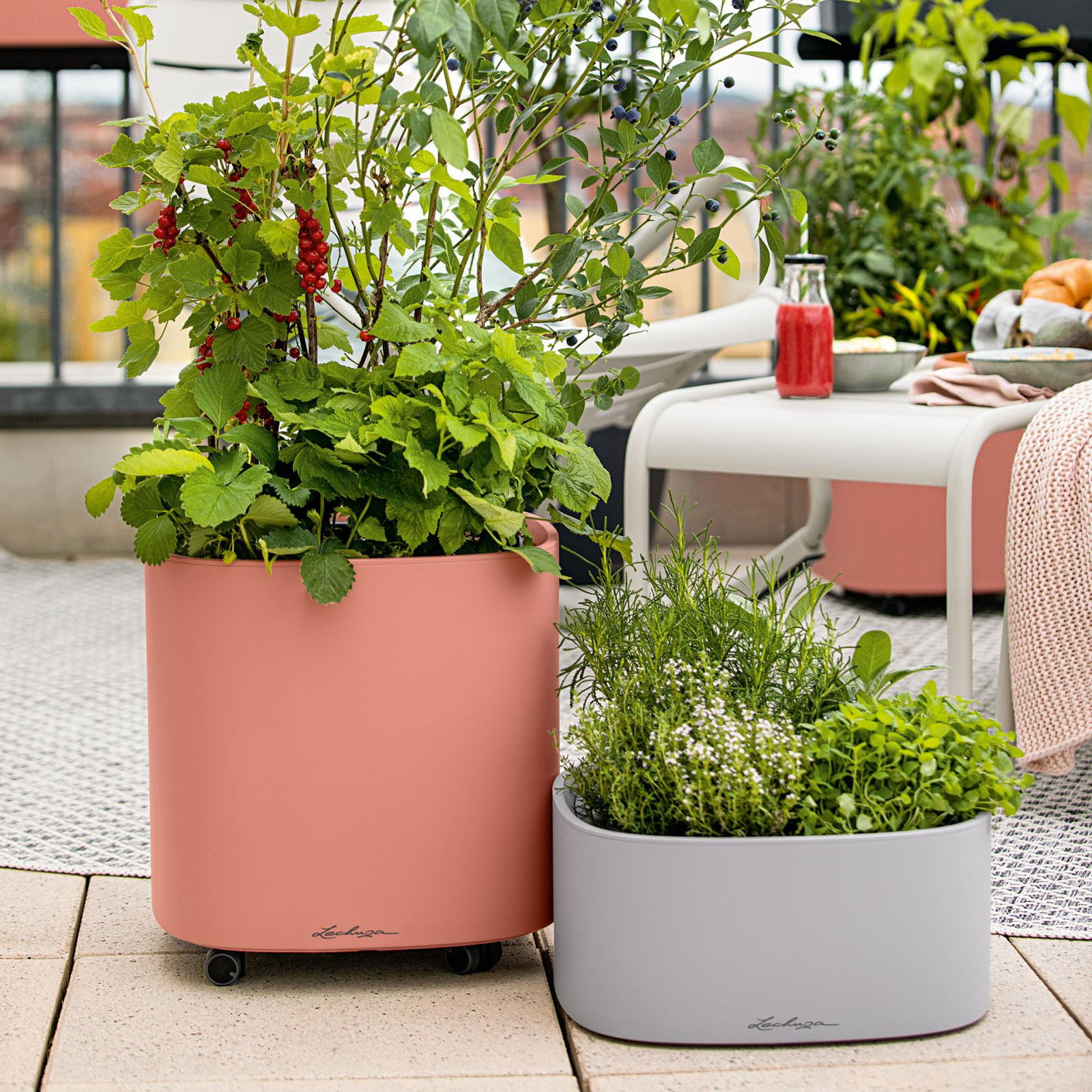 Обложка проекта: Стильный сад для гурманов