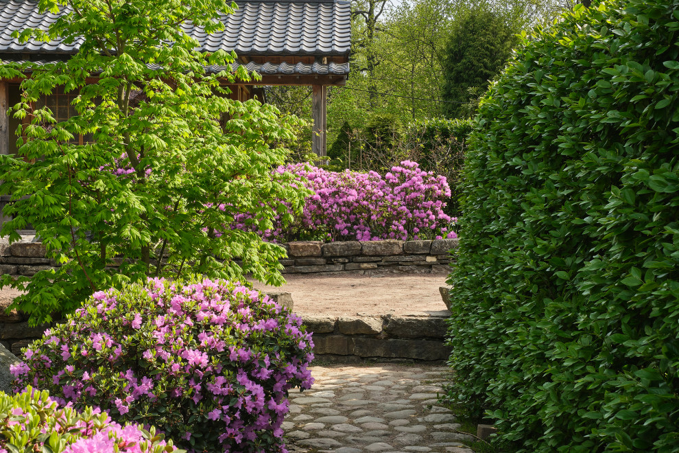 Обложка проекта: Японский сад в Ботаническом саду БИН РАН, СПб, Петроградка