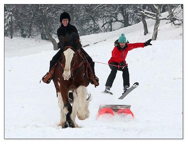 Зима в провинции: Чему учиться на фермах под Москвой