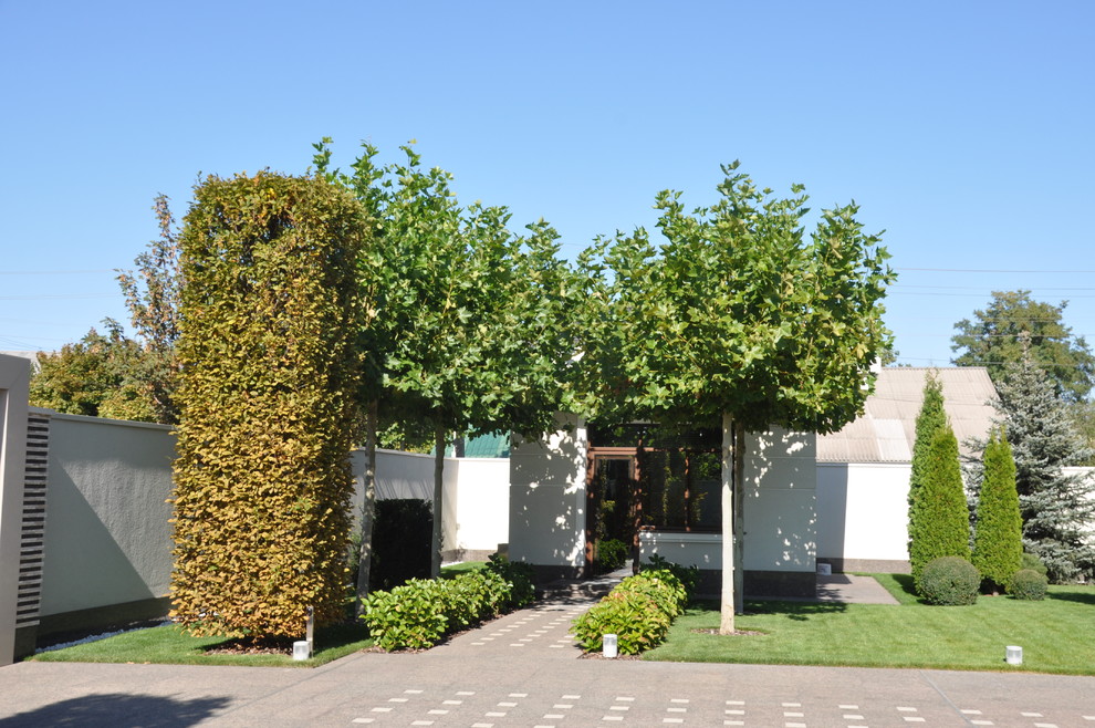 Private modern garden / Частный современный сад.