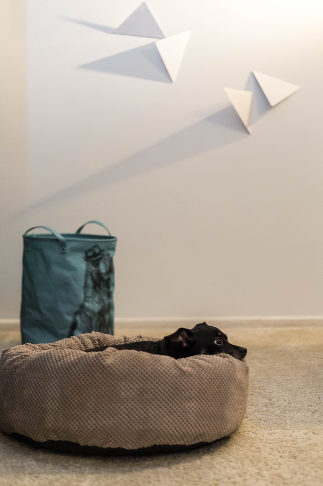 Двухкомнатная квартира на Ланском