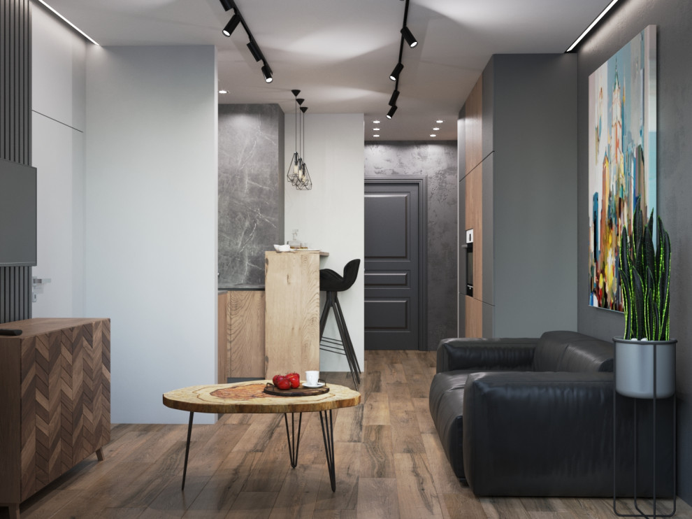 Обложка проекта: Квартира холостяка в ЖК Пять столиц