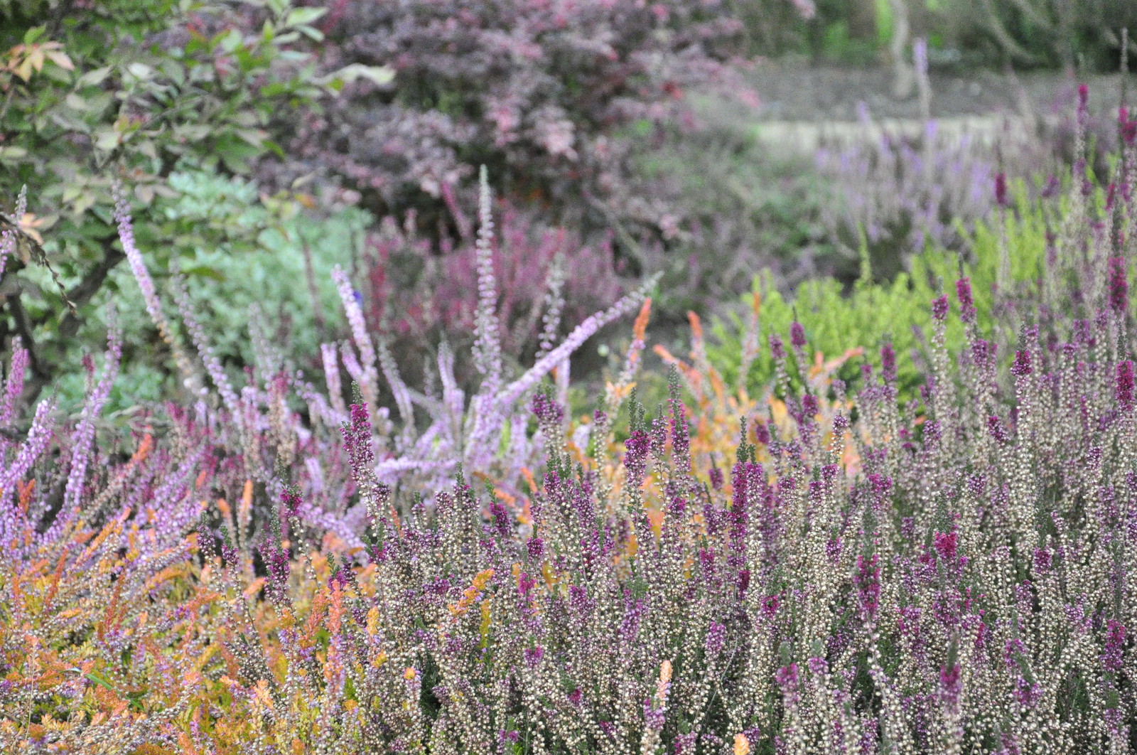 д. Коровино - Уход за садом - 100% качество