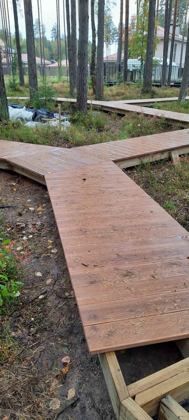 Текущий проект: Охта-Парк