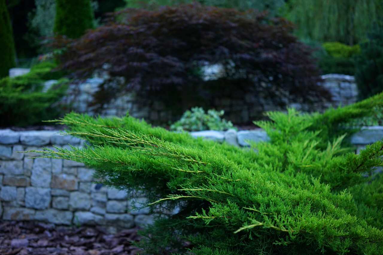 Лазурный Берег Сочи