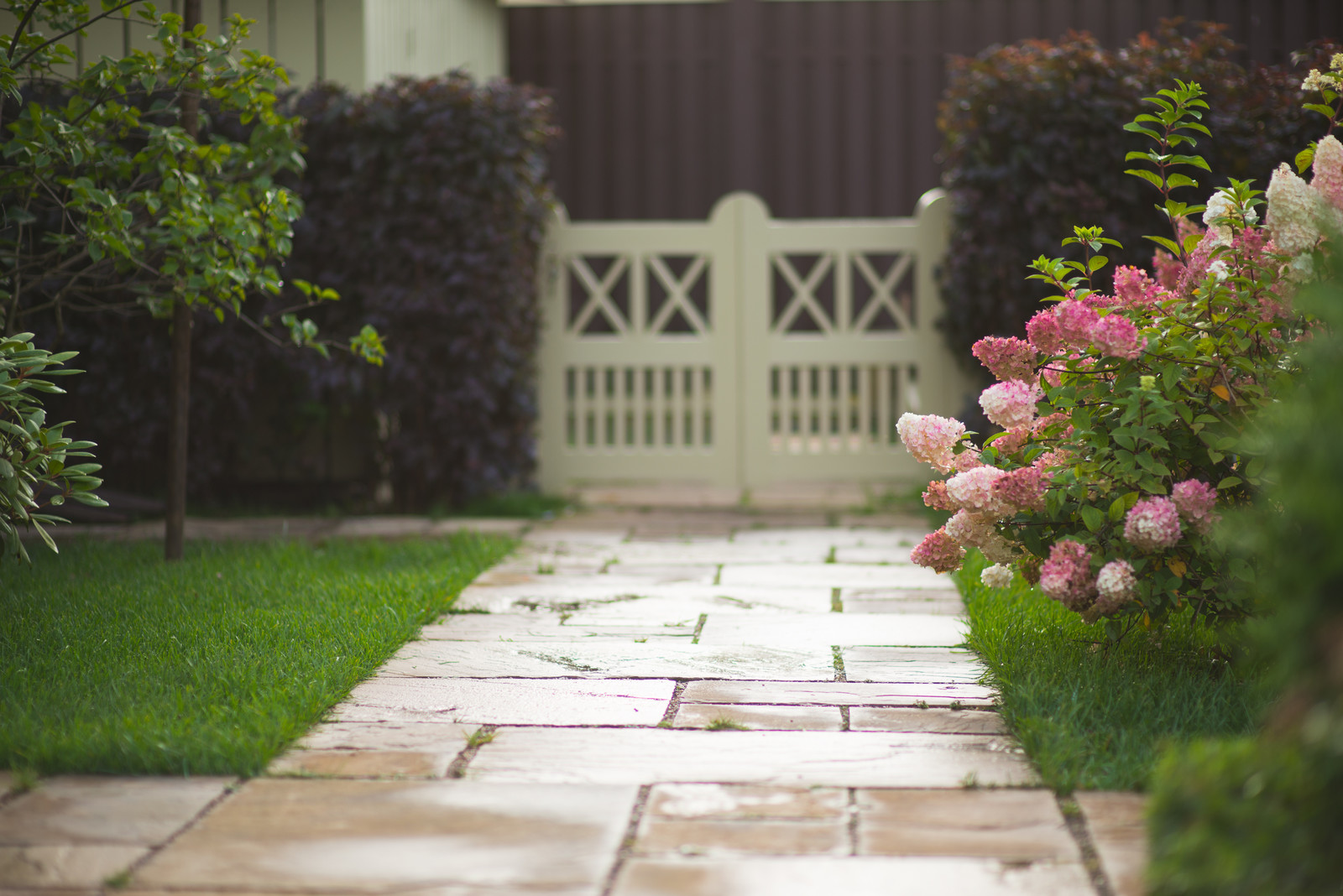 Регулярная классика