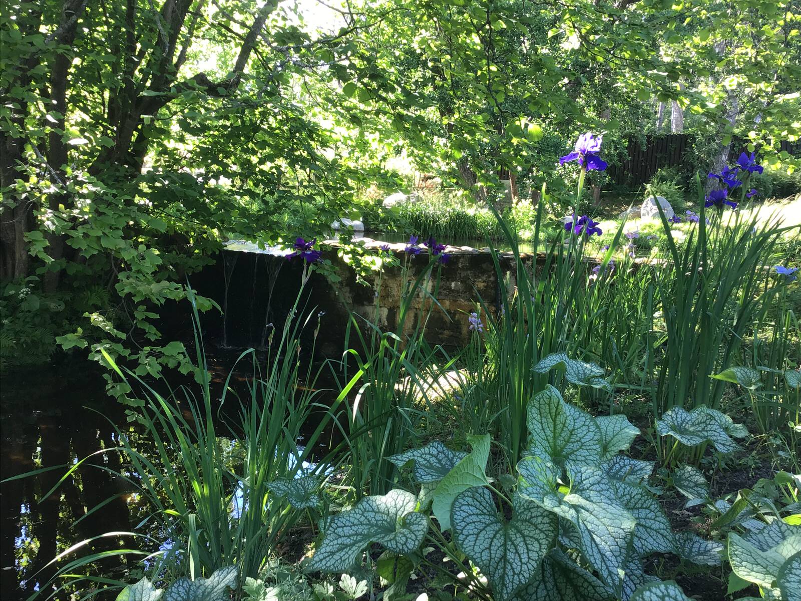 Сад натуралистического стиля